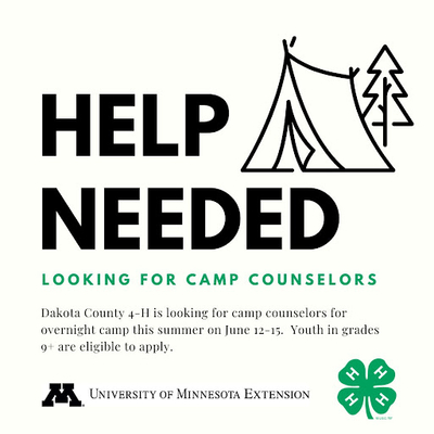 Camp counselors needed for camp