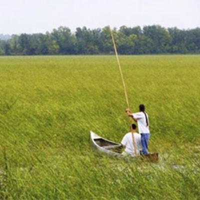 two Indigenous people in a canoe in wild rice lake