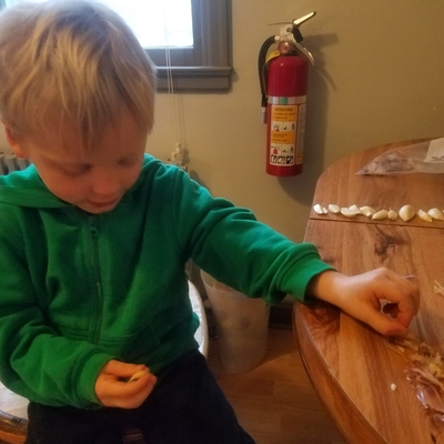 Young child peeling garlic