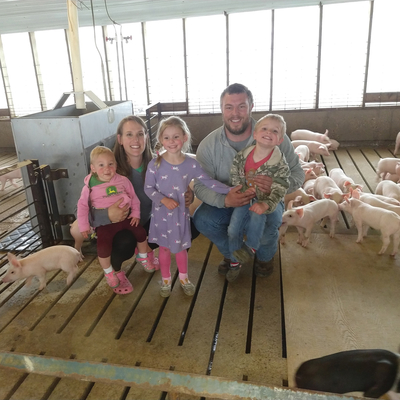 Selvik family and piglets.