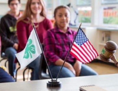 American & 4-H flag on desk at meeting