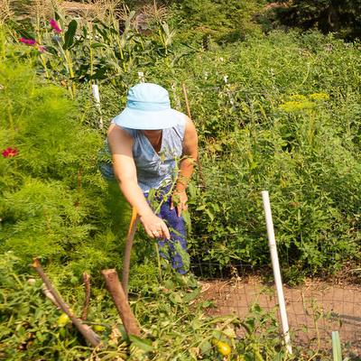 Person working in a garden in the sun.