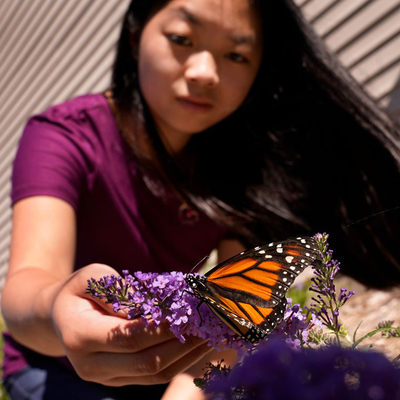 Girl holding flower with butterfly on it