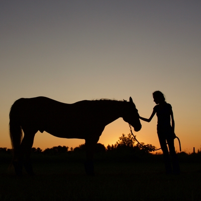 horse and woman at sunset