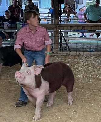 4-H'er Axel G. showing a pig