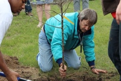 Students planting tree