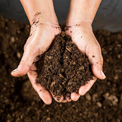 holding compost in hands