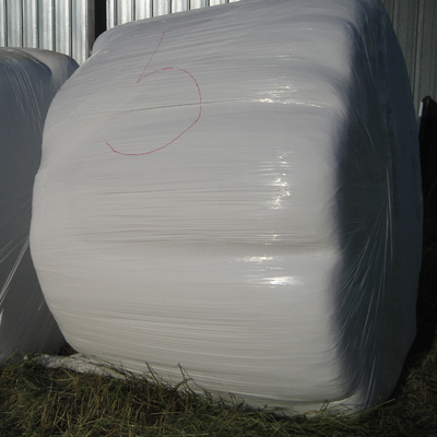 Round hay bale wrapped in plastic.