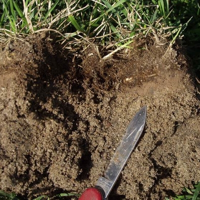 A soil core of a lawn with grass at the top, a layer of thatch and a layer of soil.
