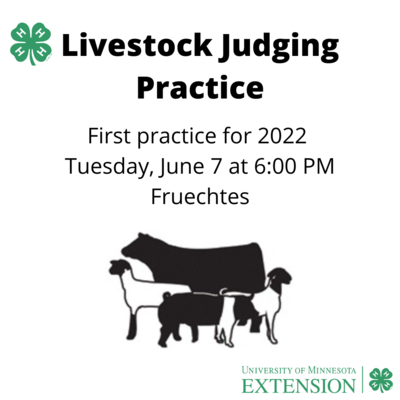 pipestone county begins livestock judging practice