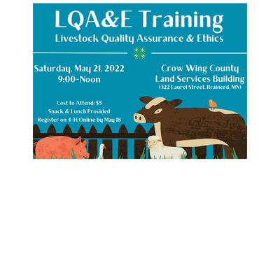 lqae training