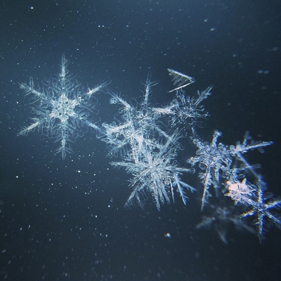 Close up image of snowflakes