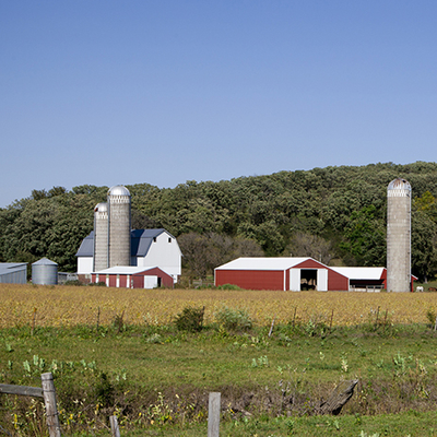 Farmstead with pasture in front and barns and silos in the background.