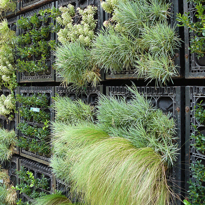 Green plants of varying textures growing from a square grid structure hanging on a wall.