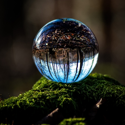 A mirror ball on a mossy surface.