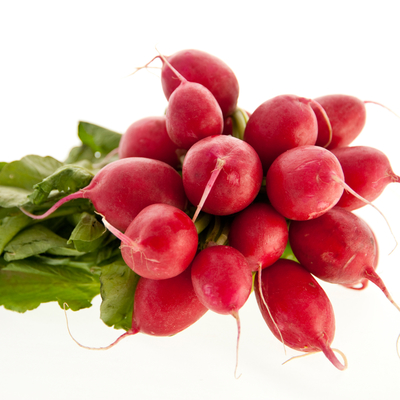Red harvested radishes with a white background
