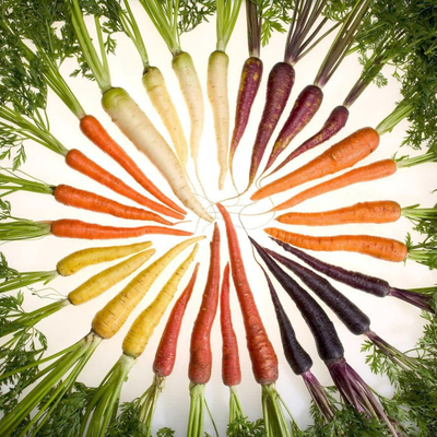 Multi colored carrots placed in a circle with the tips in the center and the greens surrounding the outside of the photo.