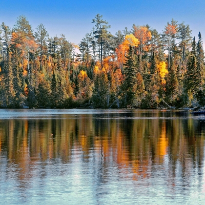 Autumn forest reflected in the waters of a lake