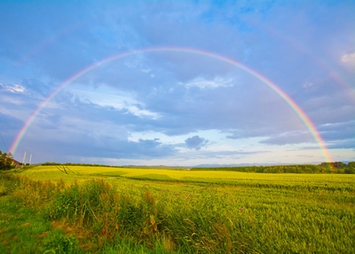 A full rainbow arch in an open meadow.