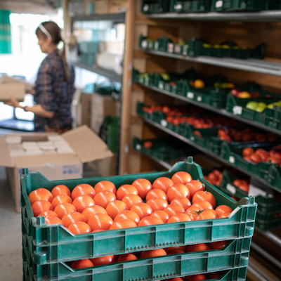 Warehouse scene with a bin of tomatoes and shelves of tomatoes, and a farmer stands behind it with cardboard boxes