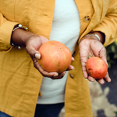 A person in a white shirt, blue jeans with a yellow button up holding two tomatoes, one larger than the other. Both are a cherry orange color.