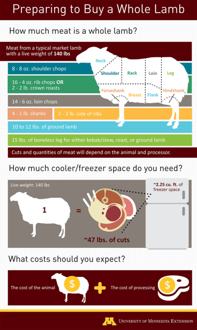 Diagram showing the meat sections of a lamb with some of the different cuts listed that would make up a typical quantity of meat to expect from a whole lamb with a live weight of 140 pounds. Cuts and quantities of meat depend on the animal and processor. The details of the text on this graphic are in the text box with the image. Details are also in the description of the PDF.