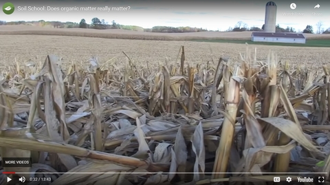 corn field after harvest