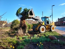 Loader removing overgrown plants at Pine City Discovery Garden