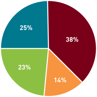 Pie chart shows sections with 25%, 38%, 14%, and 23%