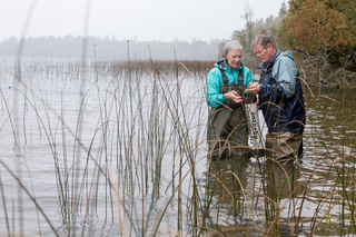 Man and woman in lake looking for invasive species