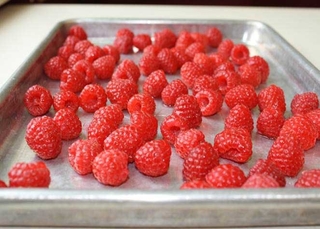 Frozen raspberries on a tray.