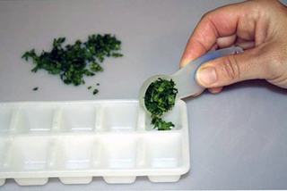 Putting herbs in a white ice cube tray.