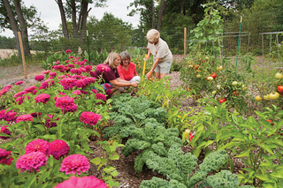 three women working in a garden with rows of zinnias, kale, peppers and tomatoes surrounded by a wire fence