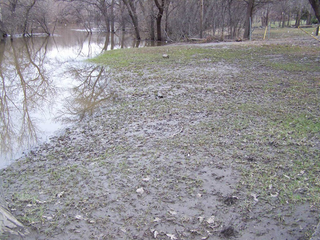 A spring-flooded lawn covered in silt and debris adjacent to river with signs of turf damage.