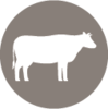 Icon of cow