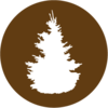 Icon of tree