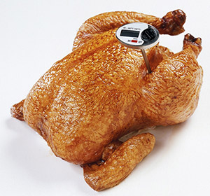 Food thermometer in chicken.