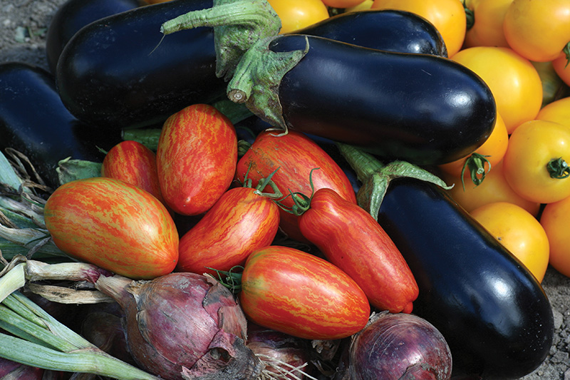 About Mower County Master Gardeners - Vimarsana News